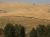 DSCN7472