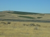 DSCN7496