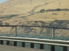 DSCN7506