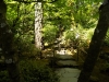 DSCN7547