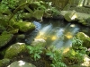 DSCN7549