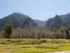 DSCN7606