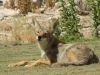 DSCN9247-136