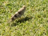 download_20190729_183702-134