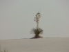 DSCN9027-97