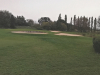 12green