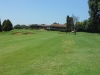 t10green