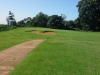 t3green
