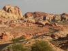 DSCN4415