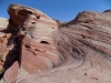 DSCN4451