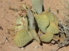DSCN4459