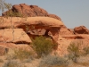 DSCN4501