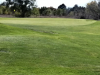 T14GREEN