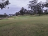 t11green