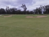 t1green