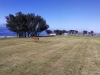 t10green