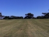 t11green