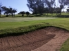 t13green