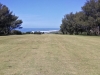 t15green