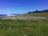 t4green