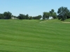 t11suite