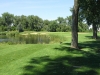 t12green