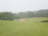 t1green