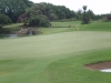 t8green