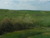 t17