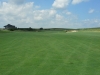 t1suite