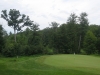 t14green