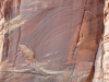 DSCN4853