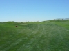 t3green