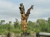 statue