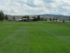 t18green
