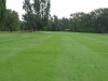 t1green