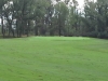 t2green