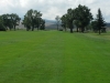t9green